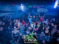 DSC5954