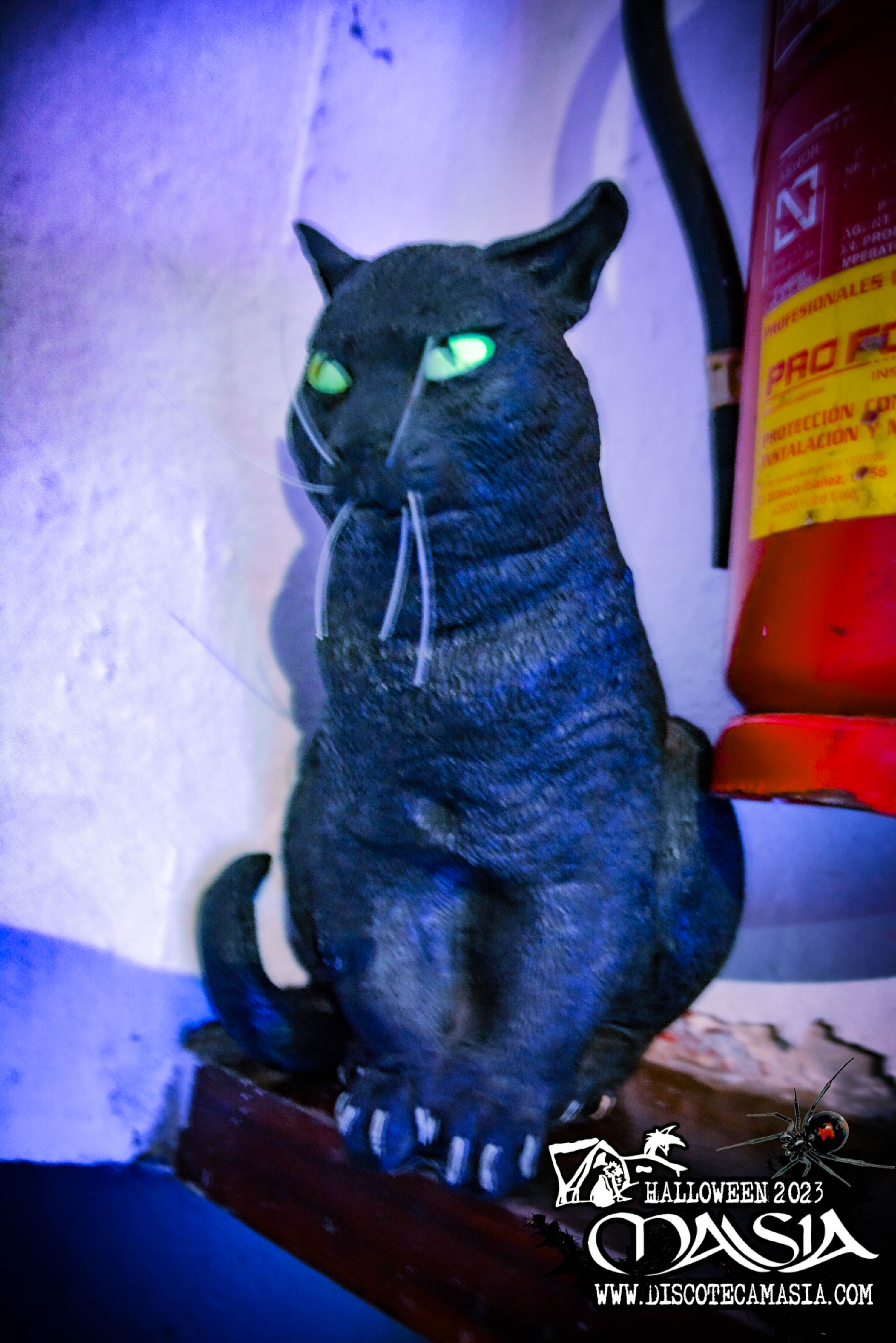 DSC8502