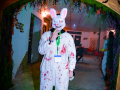 DSC7131