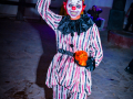 DSC7284