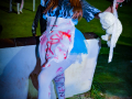 DSC7383