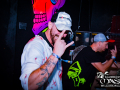 DSC7499