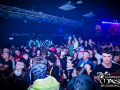 DSC7993