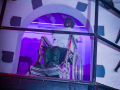 DSC8636