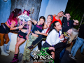 DSC6332