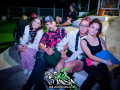 DSC6335