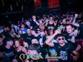 DSC7623