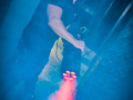 DSC5052