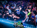 DSC5464