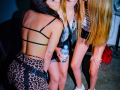 DSC0460