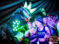 DSC6161