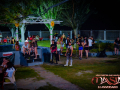 DSC6187