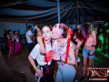 DSC6264