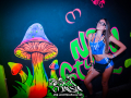 DSC6705