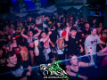 DSC7341
