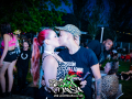 DSC7379