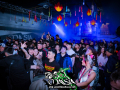 DSC7046