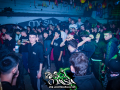 DSC7356