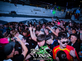 DSC7991