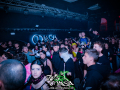 DSC3663