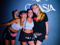 DSC7856