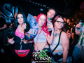DSC2893