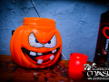 DSC2524